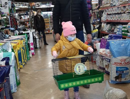 Зоомагазин “Smart Zoo”