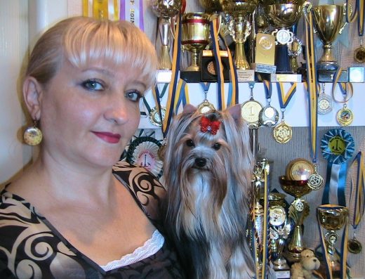 Розплідник Йоркширських тер’єрів “XX-VEK”