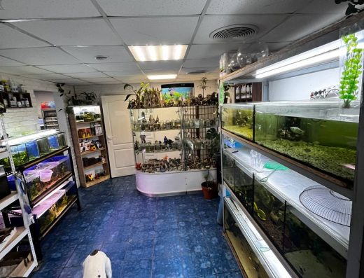 Магазин акваріумістики “Lucky fish”