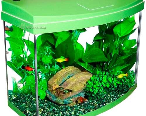 Інтернет-Магазин “KARASIK.KIEV.UA”