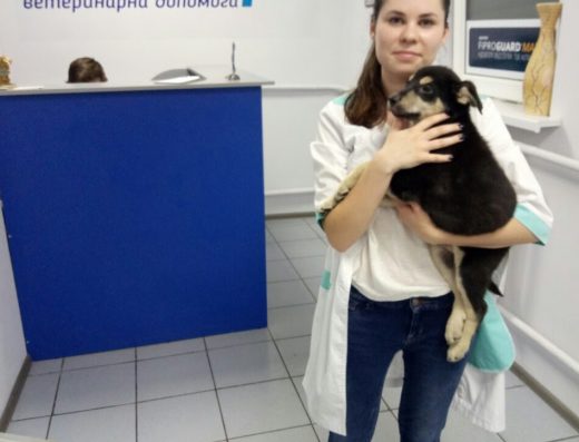 Ветеринарна Клініка “ВЕТПро”