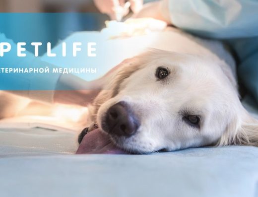 Центр ветеринарної медицини “PETLIFE”