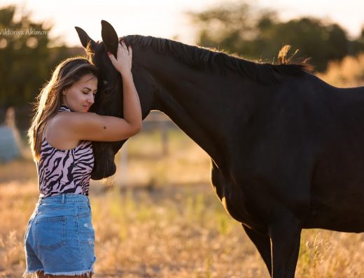 Кінні Прогулянки та Відпочинок у Миколаєві «Horses in Niko»