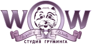 wowgroomingstudio