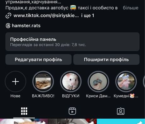 Супер Пухнасті Хом’яки (Ангора) та Блискучий Сатин: Елітні Лінії