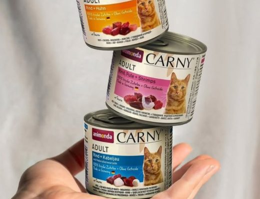 Зоомагазин “Зубастик”