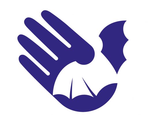 Центр реабілітації рукокрилих Харків — порятунок кажанів в Україні