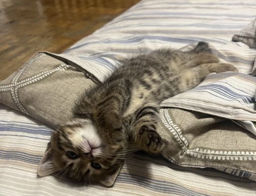 Шотландський Страйт: Дівчинка