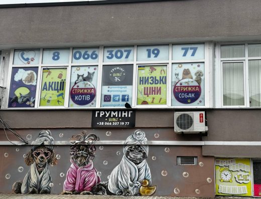 Стрижка собак і котів “ГРУМІНГ ” ВОЛЬТ” Березняки