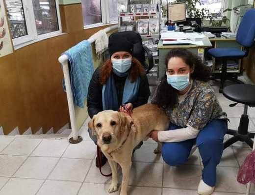 Ветеринарна клиника “Бест Вет”