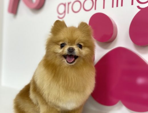 Грумінг-салон “Rosie Room”