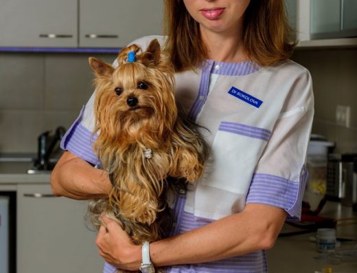 Ветеринарна клиника „Мадара вет“