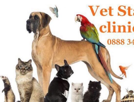 Ветеринарна клиника “NVC Vet Star clinic”