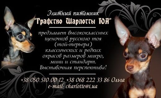 Дівчатка Російського Тоя: Документи КСУ та чип