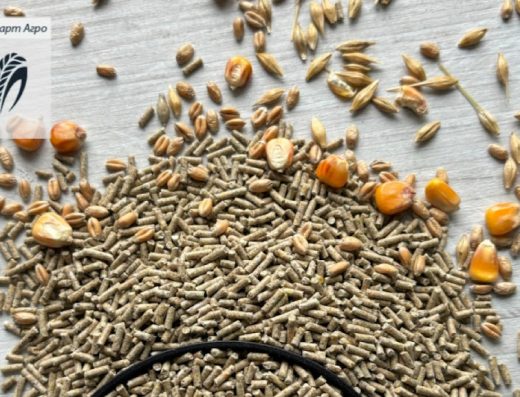 ТОВ «Стандарт Агро»