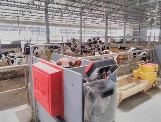 ТОВ «Ефективні системи у тваринництві»