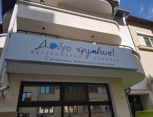 Ветеринарна клиника „Добро хрумване!“ Изток