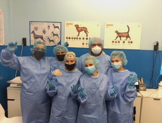 Ветеринарна клиника „Вяра, Надежда, Любов“