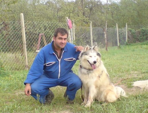 Киноложки център и хотел за кучета „Стиф“