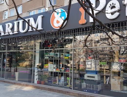 Аквариум БГ и АйПет