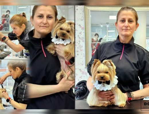 Груминг студио & Бутик „Doggy Dog“