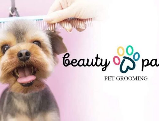 Груминг „Beauty Paws – Vili“