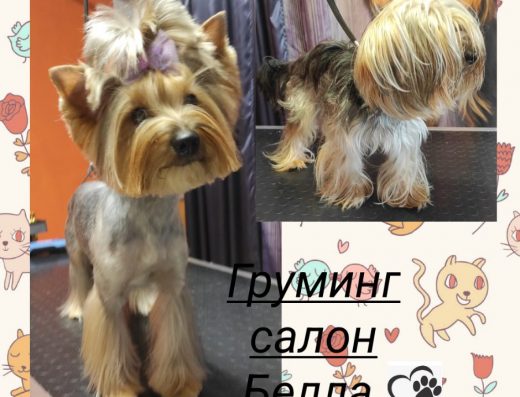 Груминг салон „Белла“