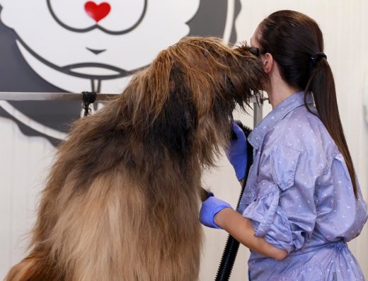 Груминг салон „Shampooh“