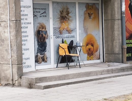 Груминг студио „Дог Спа“