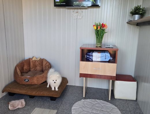 Хотел за домашни любимци „Варна“