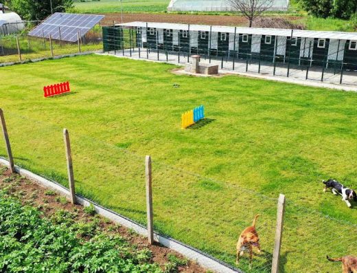 Хотел за кучета „Димов“