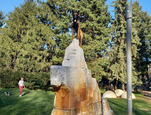 Хотел за кучета “Либерта”