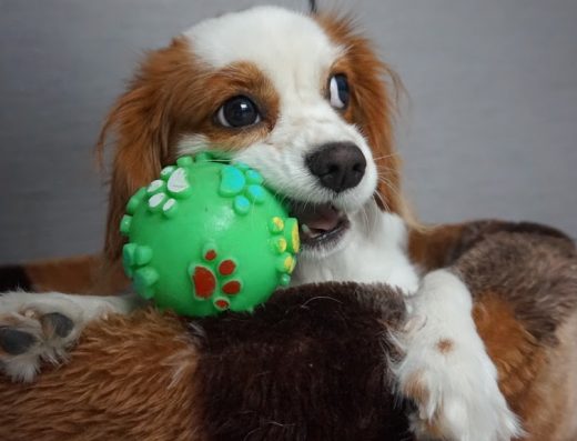 Хотел “Опашатковци”