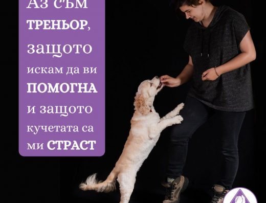 Обучение на кучета „Ние с Кучето“