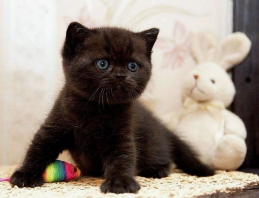 Хлопчик чорного кольору