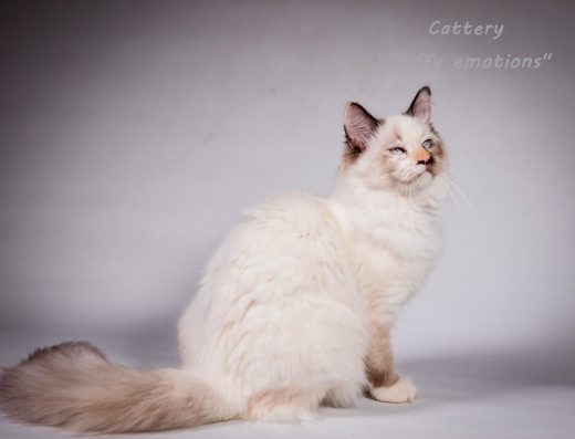 Яскрава дівчинка Марго