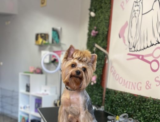 Груминг салон и магазин за аксесоари „Pet house“