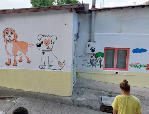 Приют за кучета Шумен