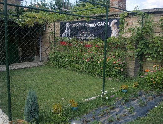 Хотел и обучение на кучета „Rosenland“