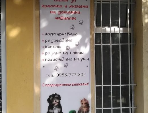 Салон за домашни любимци „Ася“