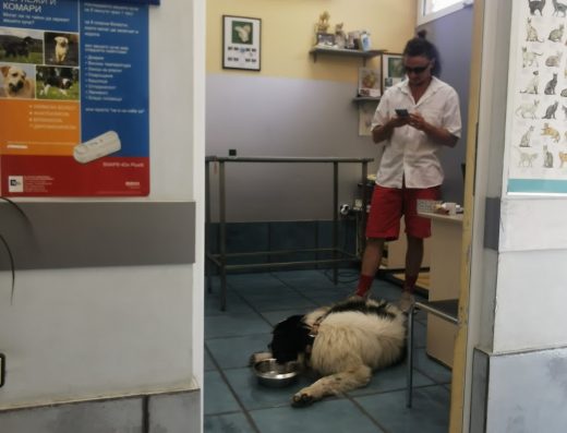 Ветеринарна клиника „Санивет“