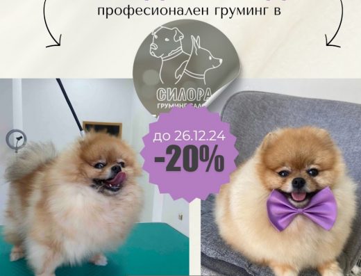 Груминг Салон „Силора“