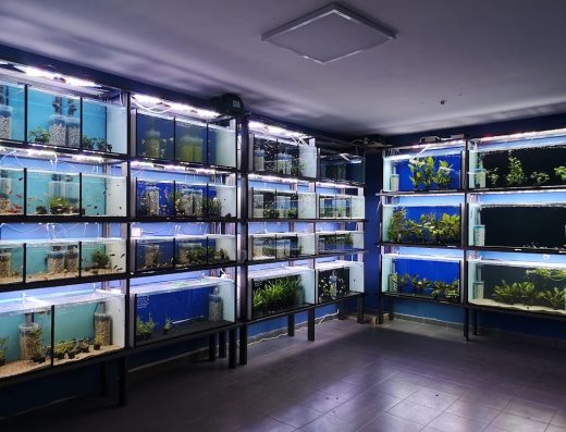 TERARISTIKA.BG | AQUARIST.BG