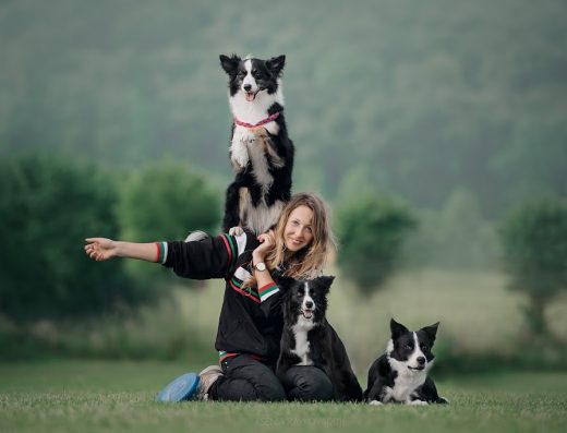 Училище за кучета - Дарья Иванцова