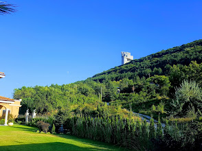 Кучешки парк