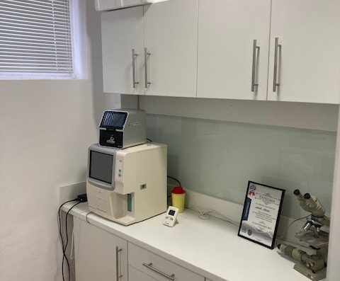 Ветеринарна амбулатория ,,Еклипс“