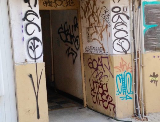 Зоомагазин Джунгла