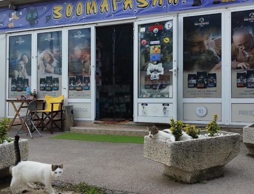 ЗООМАГАЗИН І Домашни лююбимци І Храна и аксесоари за домашни любимци І Консултации за хранене и грижа