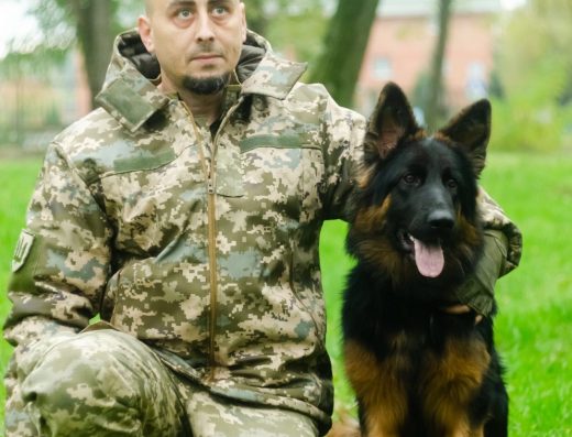 Дресирувальний комплекс “Колізей”