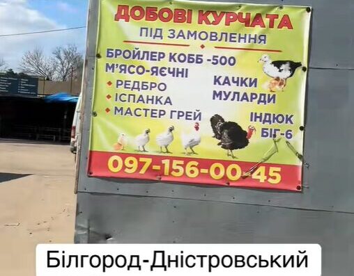 Склад-магазин кормів та птиці